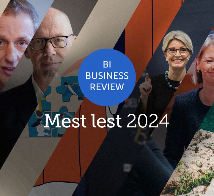 Bilde-collage av bilder brukt i artikler